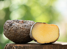 slimsure - slim sure - slim sure review